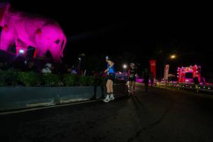 BIB: 
                            <button type="button" onclick="openModal(26552605)" class="btn btn-primary btn-sm float-right btn-popup" data-toggle="modal" data-target=".modal-high-quality">
                        <i class="fas fa-shopping-cart"></i> Add to Cart
                    </button>
                                            <button type="button" onclick="isThisMe(26552605, true)" class="btn btn-success btn-sm float-right btn-popup btn-isme hidden" data-toggle="tooltip" data-placement="bottom" title="นี่คือรูปของคุณใช่ไหม คลิกที่นี่เพื่อเอาเข้าอัลบั้ม">
                        <i class="fas fa-plus"></i> Add to album
                    </button>
                    <button type="button" onclick="isThisMe(26552605, false)" class="btn btn-warning btn-sm float-right btn-popup btn-isnotme hidden">
                        <i class="fas fa-ban"></i> Remove from album
                    </button>